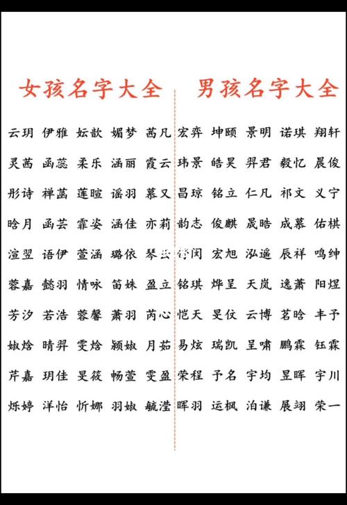 中间是琳的男孩名字