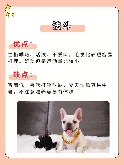生肖狗的女生不愿意结婚的原因是什么呢?