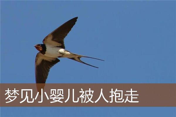 周公解梦梦见小孩子会走路