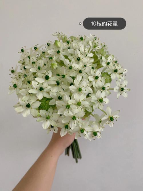 读懂这10种花语,让婚礼浪漫指数瞬间翻倍!