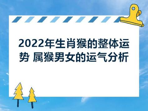 属猴人对于未来有什么规划
