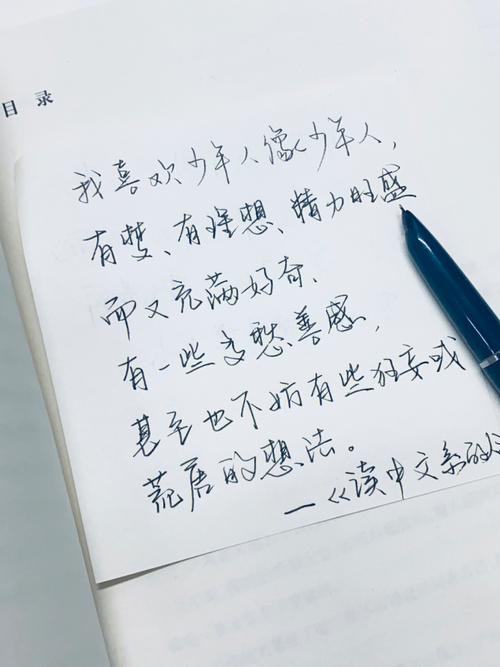 2023年四月十一出生薛姓男孩名字