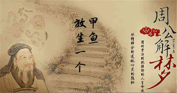 梦见放生鳖