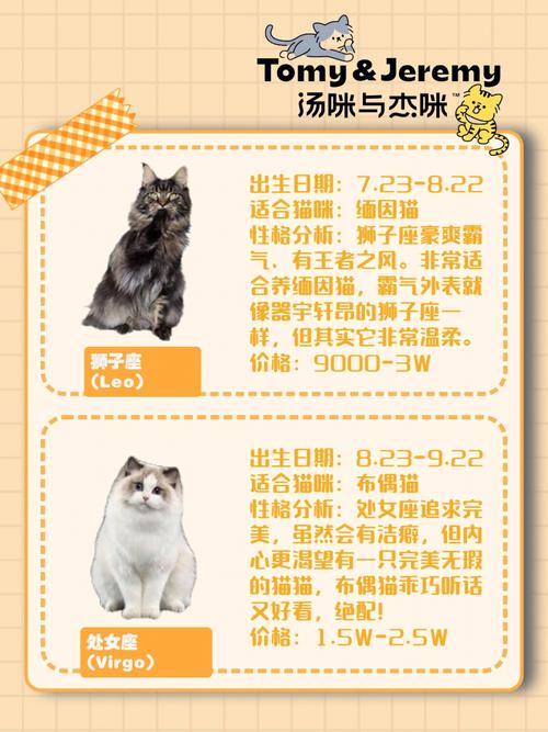 过冬计划,冬天选择猫在家里的星座
