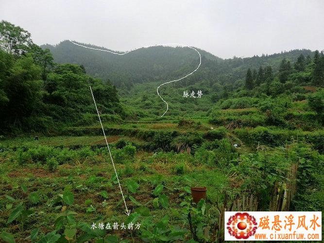 祖坟风水不好怎么办?祖坟风水不好怎么看?