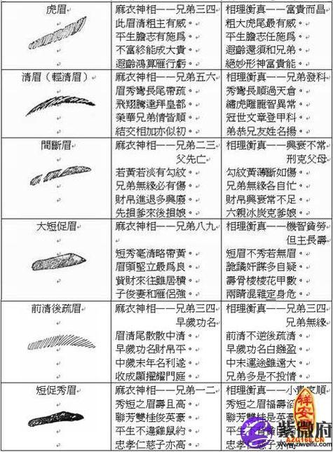 眉者两目翠盖 连心眉面相分析