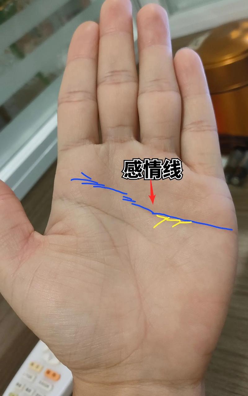 手纹线图解大全手相