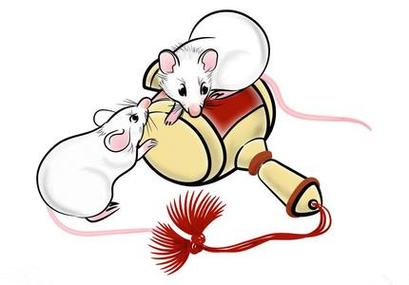鼠目寸光打一生肖