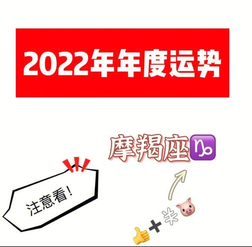 摩羯座每天努力工作是为了什么