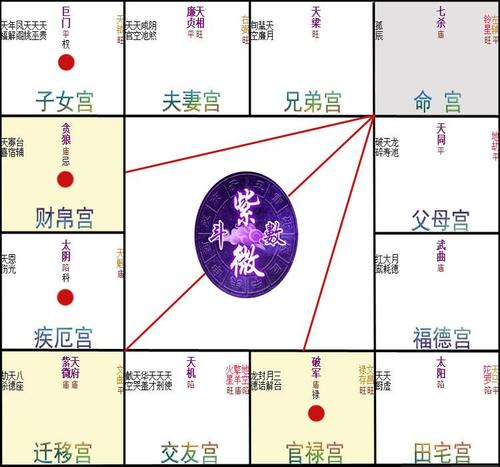 紫微斗数排盘仆役宫化权是什么意思?