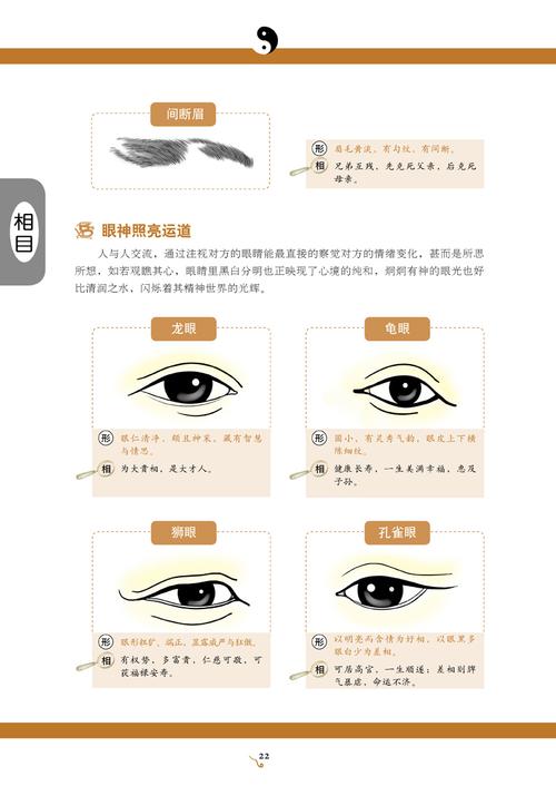 面相分析谁最值得做朋友