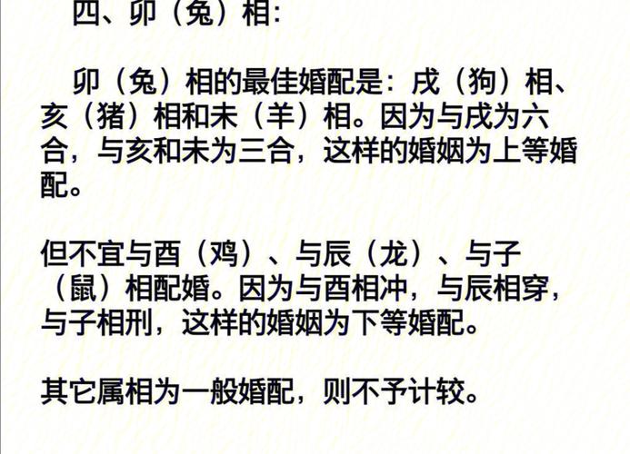 生肖合婚!你与谁最配?