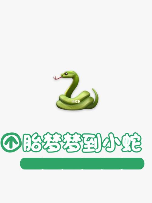 梦见小白蛇追我