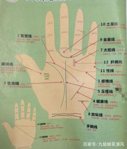 掌纹的秘密全图解,教你怎么用手掌纹算命