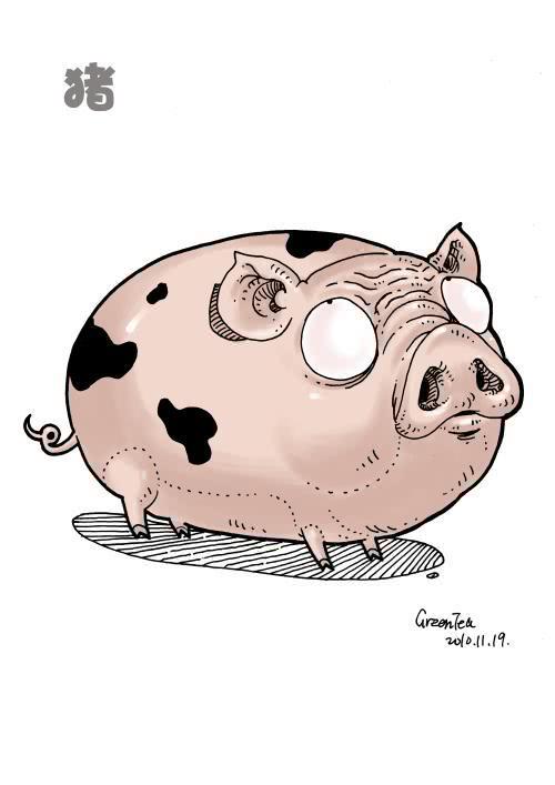 成为暖男的生肖
