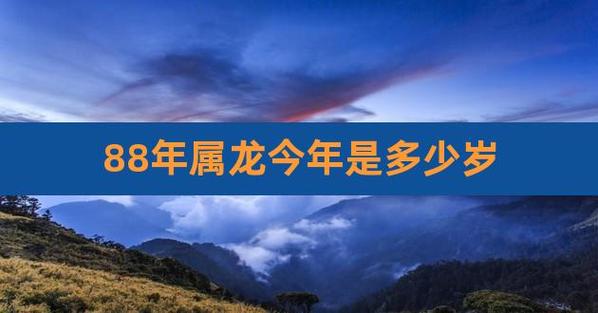 属龙88年出生多少岁