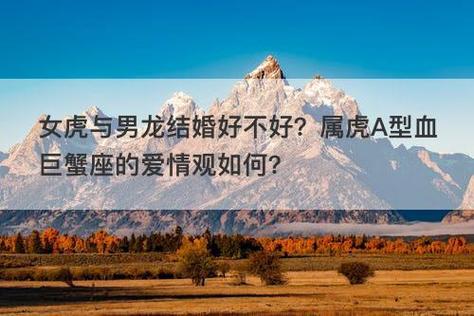 女虎与男龙结婚好不好？属虎A型血巨蟹座的爱情观如何？