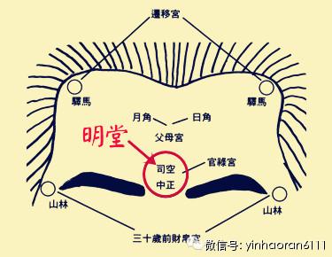 如何辨别明堂的真假