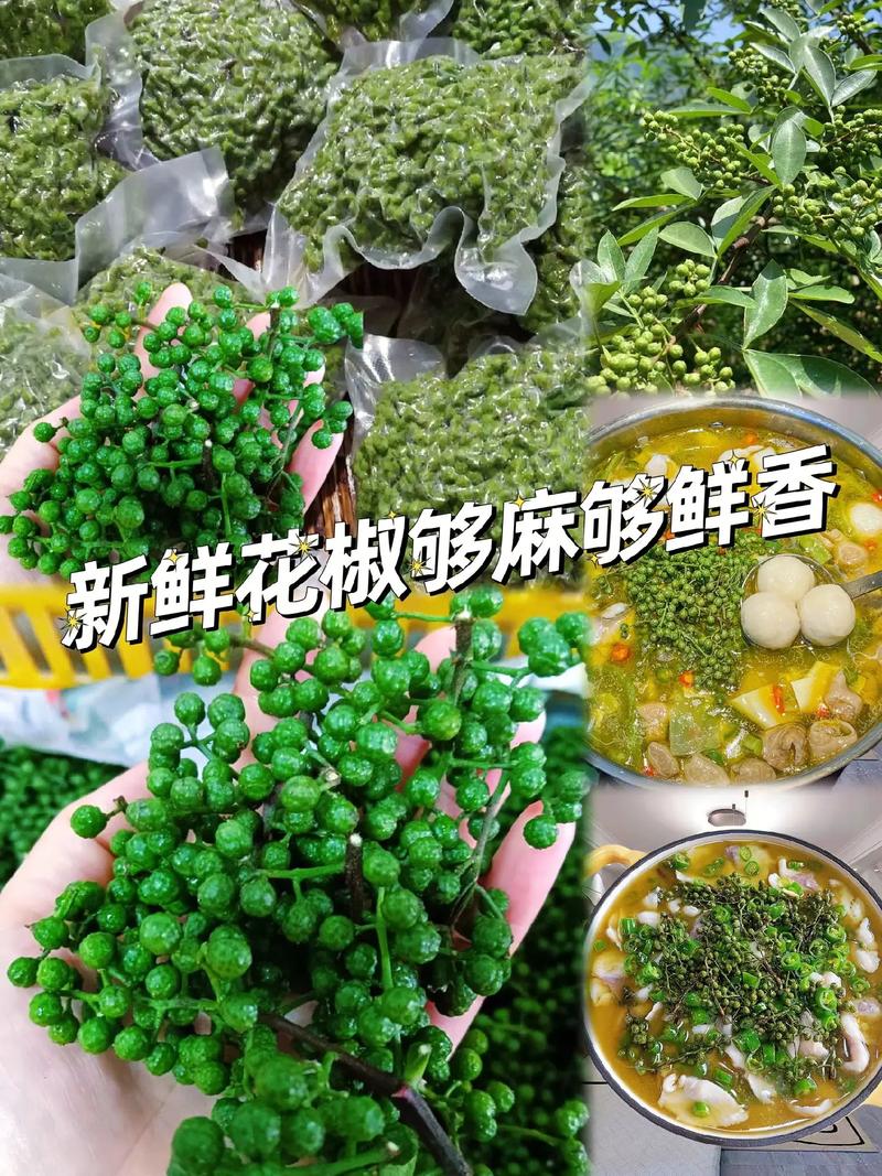 梦见新鲜的花椒 周公解梦之梦到新鲜的花椒