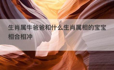 爸爸属牛孩子属牛好吗