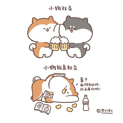 懒得经营社交圈的五大生肖