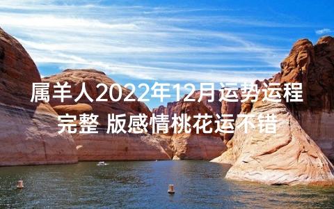 属羊2022年12月份感情婚姻好不好