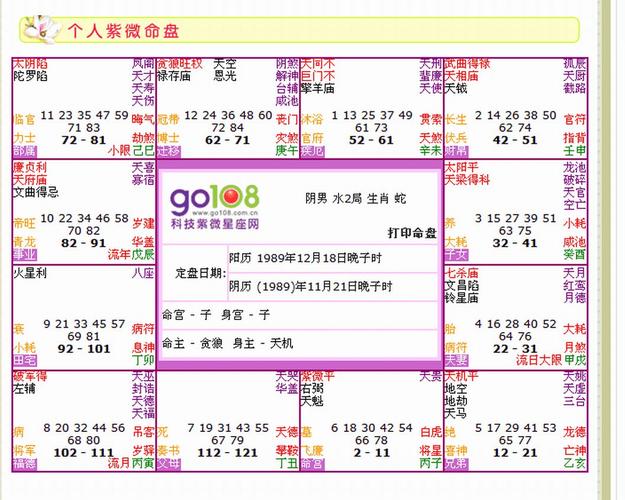 紫微命盘看哪些人能坐享权贵