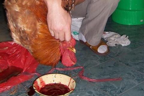 梦见放血是什么意思