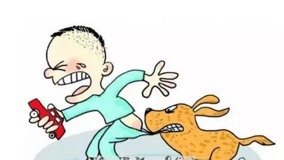 梦见鳄鱼咬我是什么意思