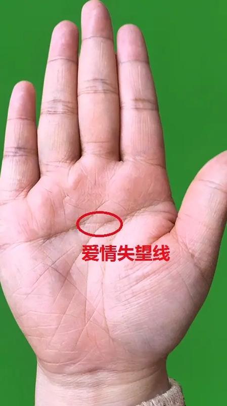 手心有肉的人运势是不是很好运