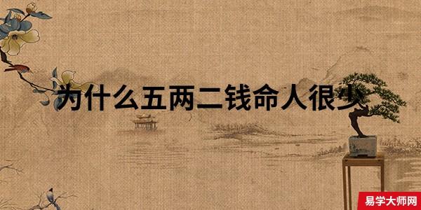 五两二钱男命有官当吗