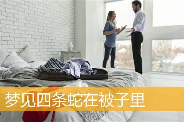 梦见蛇入被窝
