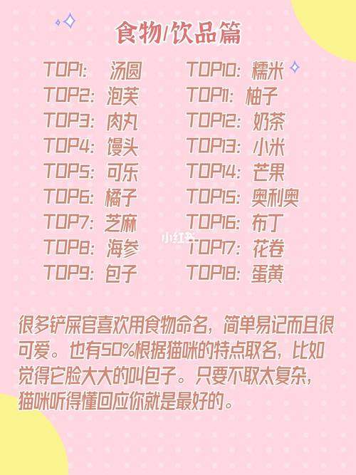 给小猫取特殊的名字大全