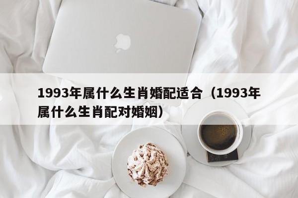 93的属什么生肖配对,1993年出生的人属什么