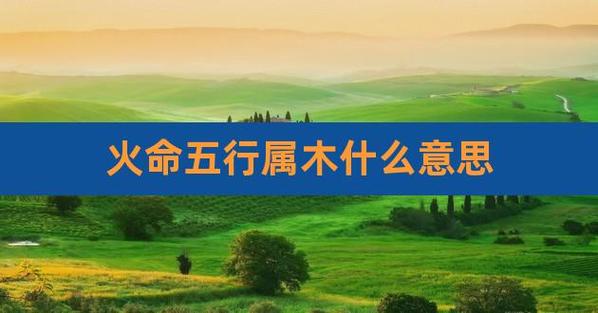 属木和属火能在一起吗