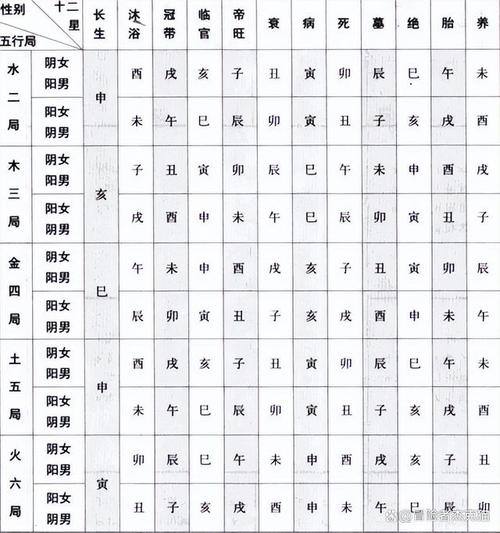 紫微斗数-化忌星