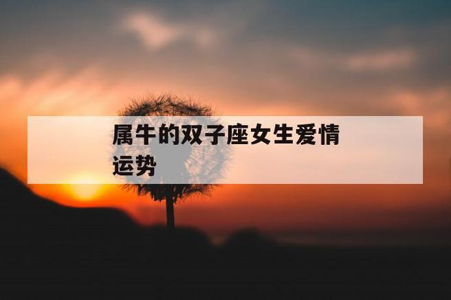 属牛双子座2021爱情运