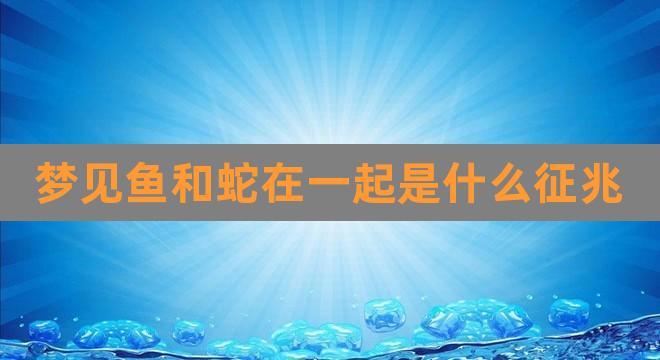 女人梦见蛇和很多鱼预示什么