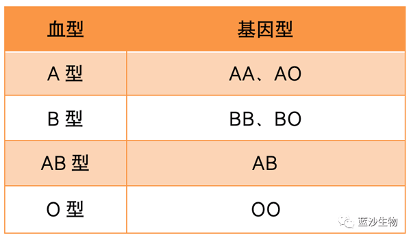 abo血型的六种基因型