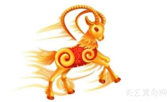 属羊2019年多大了