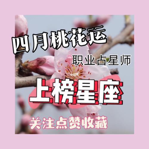 射手座女生的桃花运在什么时候最好