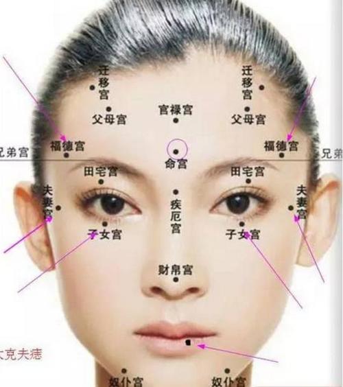 女人看面相大全图解法女人眉毛长痣好不好