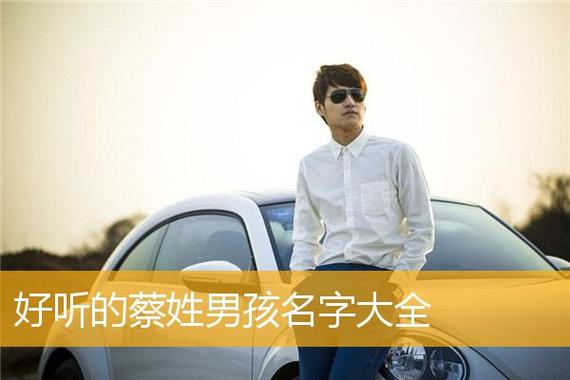 蔡取名字男孩