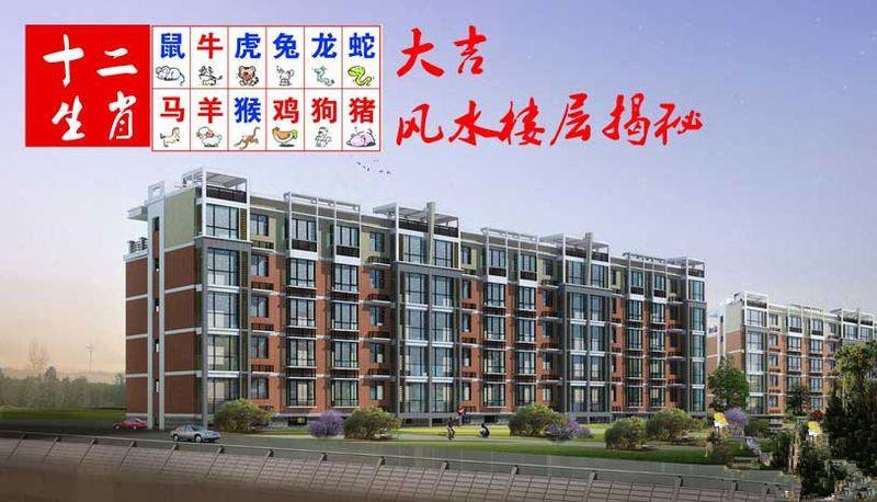 属鸡的人最喜欢买房子