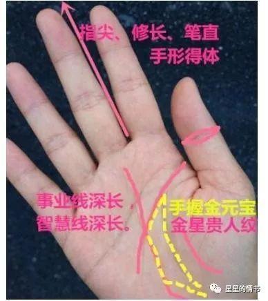 女人注定会经商当老板的手相解析