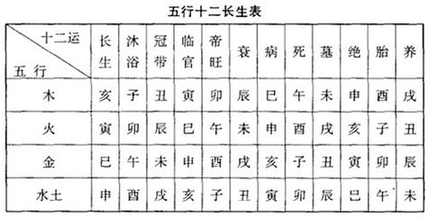 五行八字十二宫长生运解读
