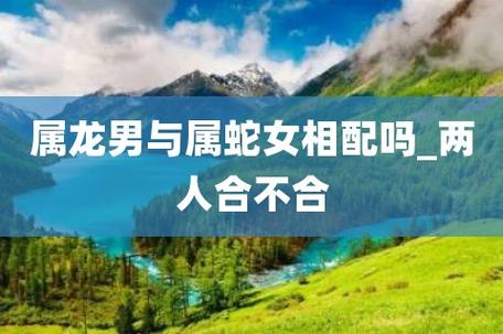 属龙和属蛇婚配怎么样