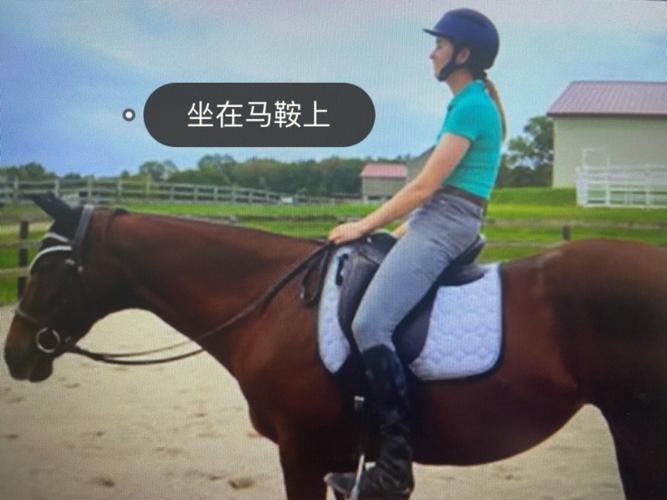 不敢冒险是属马安于现状的原因