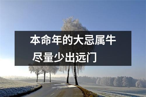 牛本命年的大忌