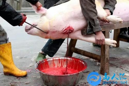 已婚女人梦见别人杀猪什么意思